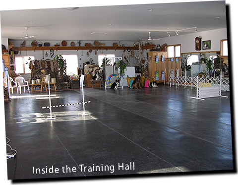 picture of training hall